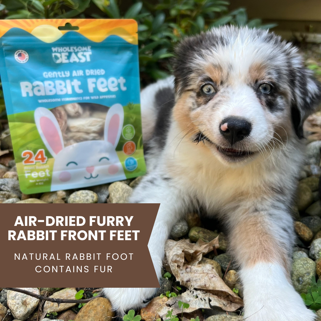 Air Dried Rabbit Front Feet